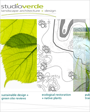 Studioverde Landscape Architecture + Design Logo and Web Site